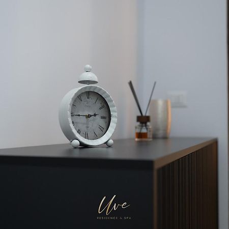 Uve Residence & Spa Piatra Neamţ 外观 照片